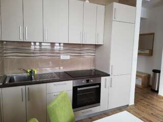 Апартаменты Vila AS Жабляк Апартаменты-26